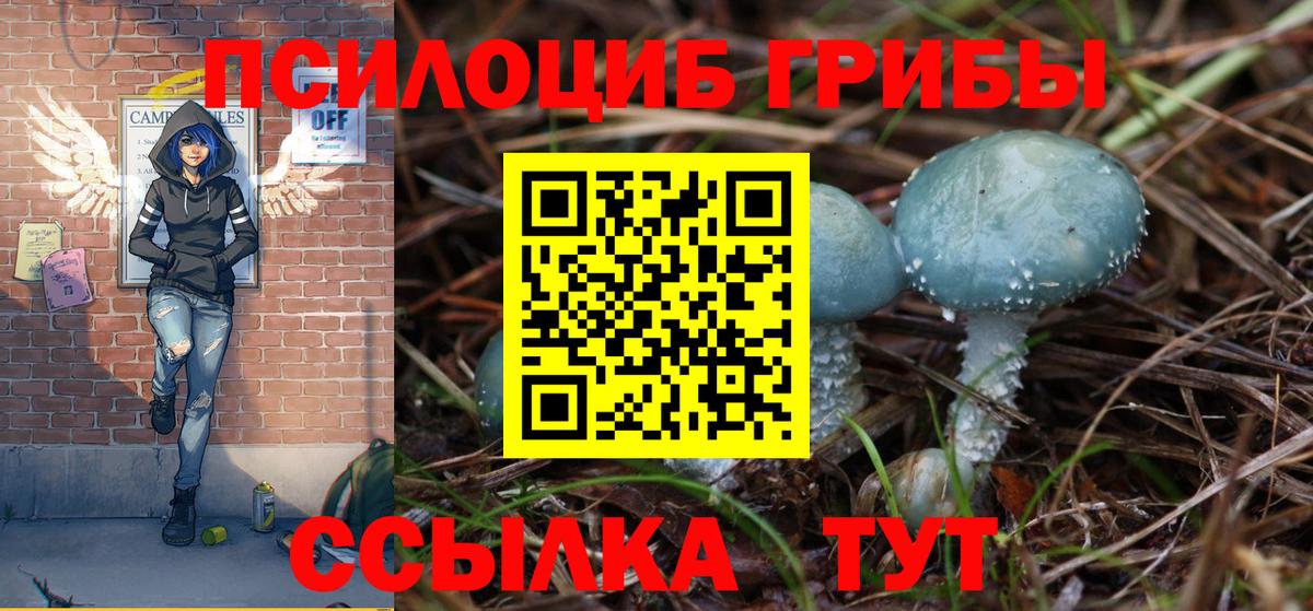 Тайшет  Псилоцибиновые грибы мицелий  Вход с VPN 